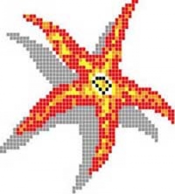 Mural SEA STAR, zglob 2mm