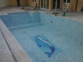 delfin u mozaiku